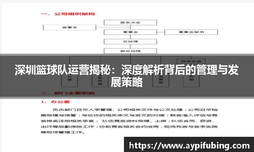 深圳篮球队运营揭秘：深度解析背后的管理与发展策略