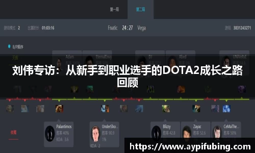 刘伟专访：从新手到职业选手的DOTA2成长之路回顾