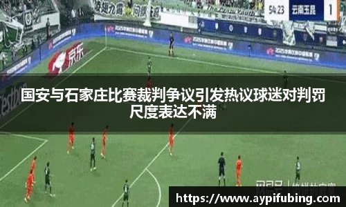 国安与石家庄比赛裁判争议引发热议球迷对判罚尺度表达不满