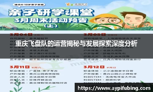 重庆飞盘队的运营揭秘与发展探索深度分析